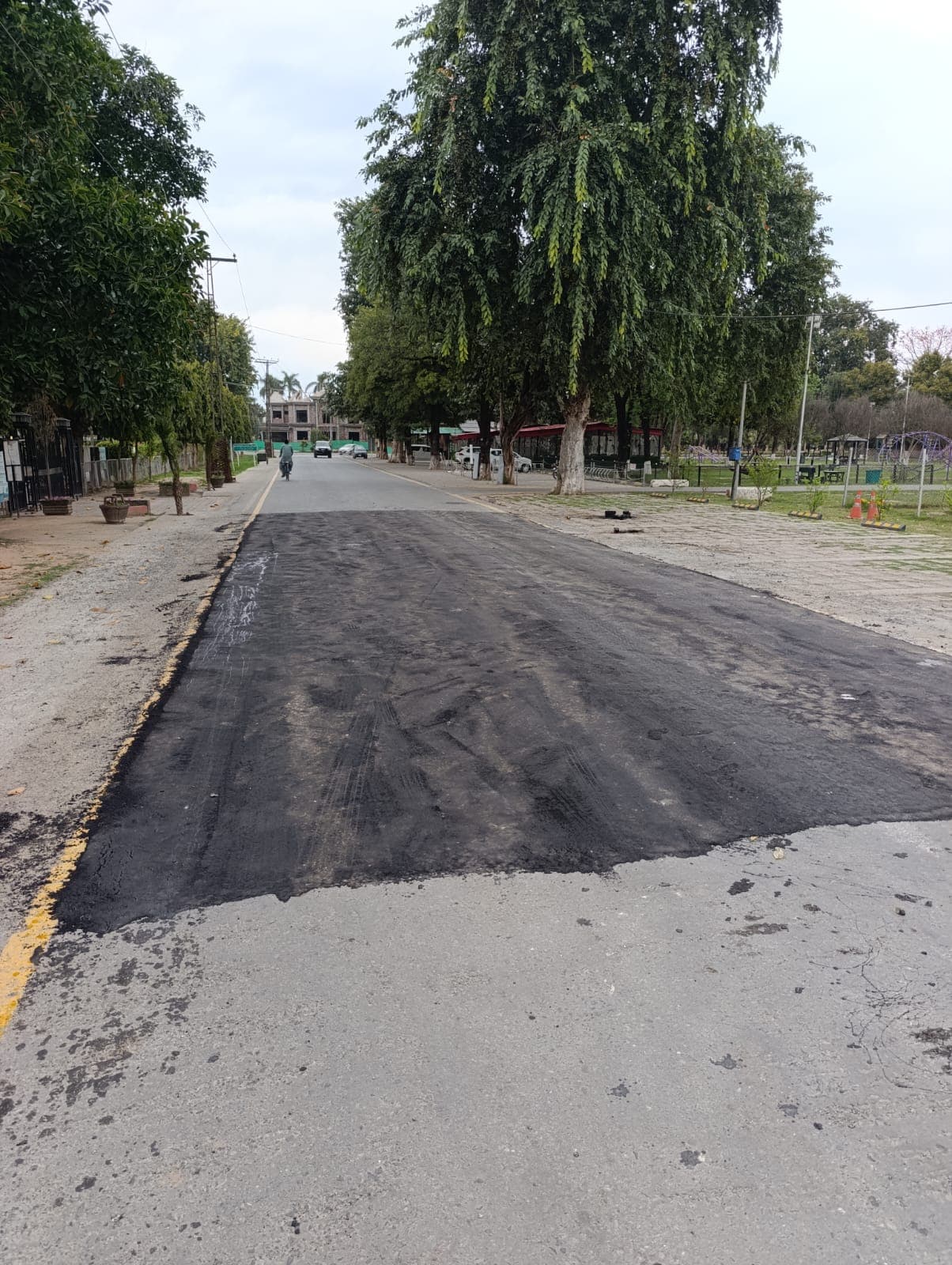 A smooth, finished asphalt patch across a wide tree-lined road