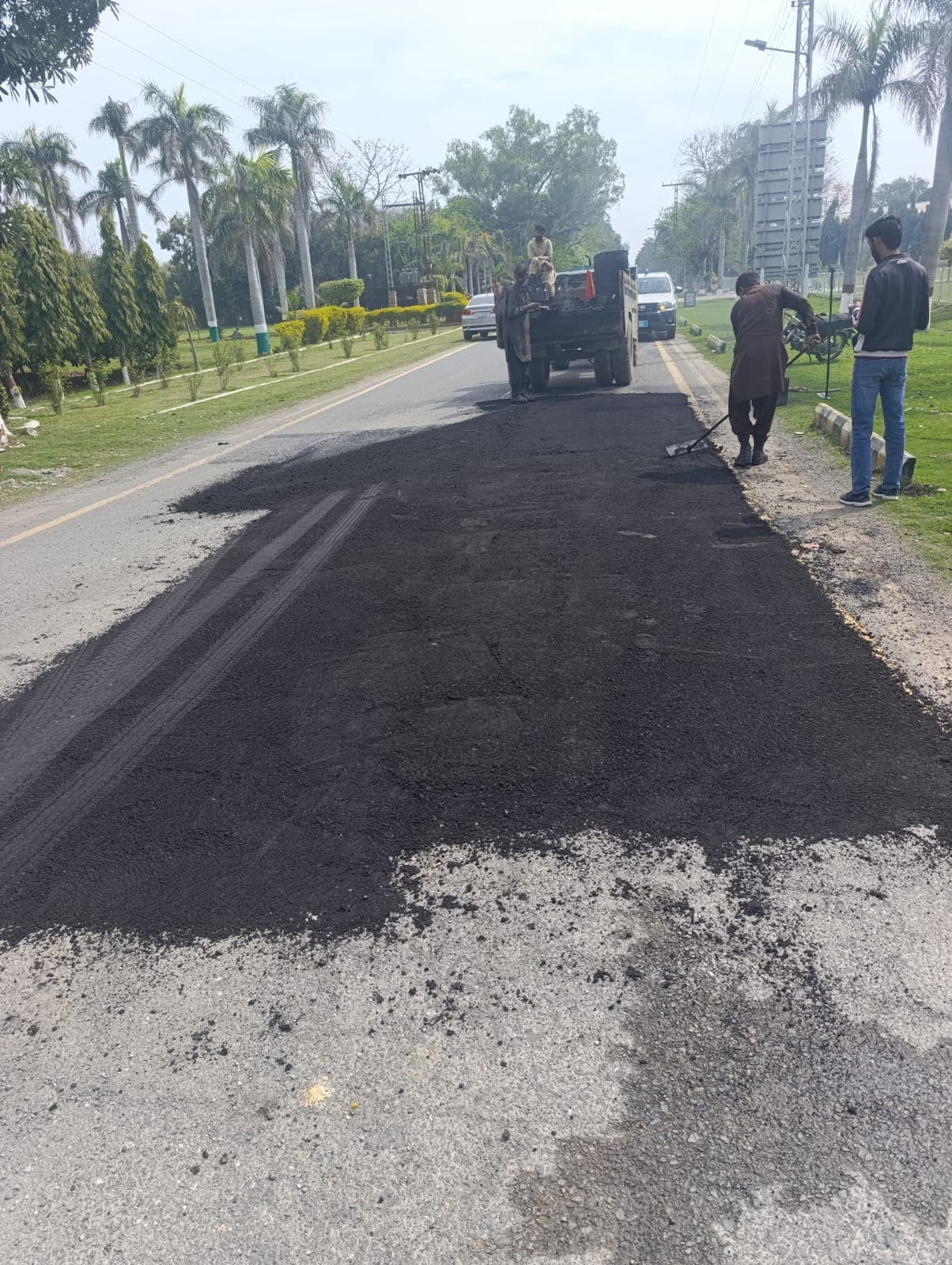 A finished asphalt stretch on a road lined with palm trees
