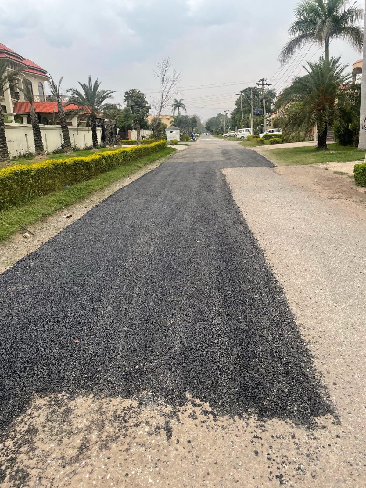Fresh asphalt laid along one side of a residential road lined with villas and palms