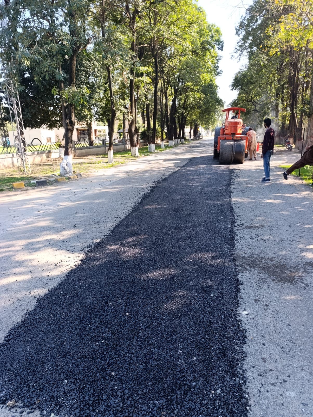 A long strip of new asphalt down a tree-lined road, with the roller at work in the distance